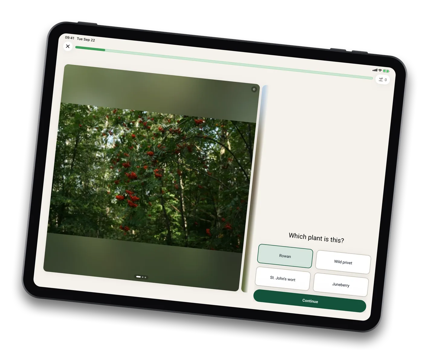 A Plantneus quiz on a tablet: a photograph beside four possible names